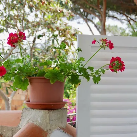 펜션 Casa Sulla Spiaggia- Mortelle